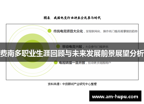 费南多职业生涯回顾与未来发展前景展望分析