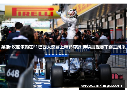 莱斯·汉密尔顿在F1巴西大奖赛上精彩夺冠 持续展现赛车霸主风采 莱斯·汉密尔顿在F1巴西大奖赛上精彩夺冠 持续展现赛车霸主风采