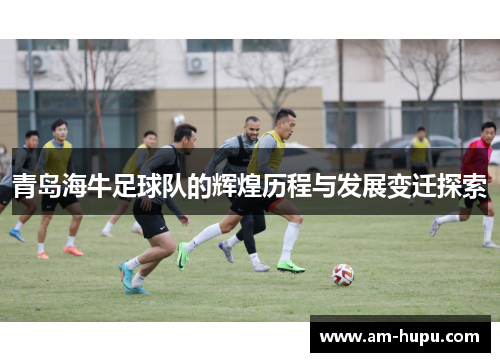 青岛海牛足球队的辉煌历程与发展变迁探索